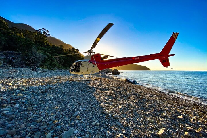 Half-Day Milford Sound Helicopter Tour from Queenstown - 203 - Photo 1 of 7